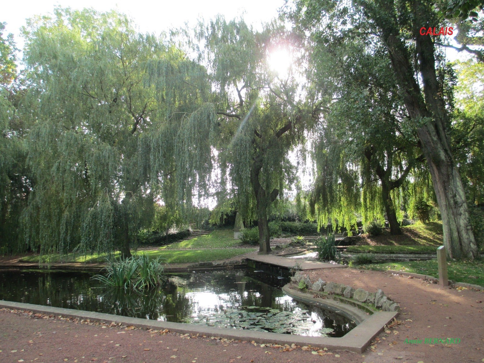 Le bassin au centre du parc