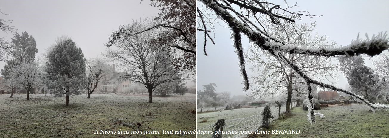 Jours d'hiver , -4°degré sur Néons sur Creuse