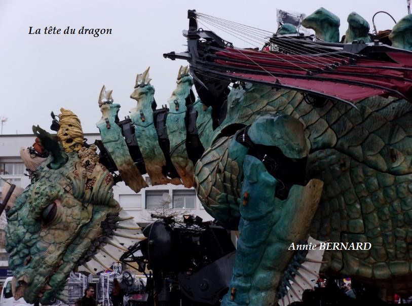 Dragon dort