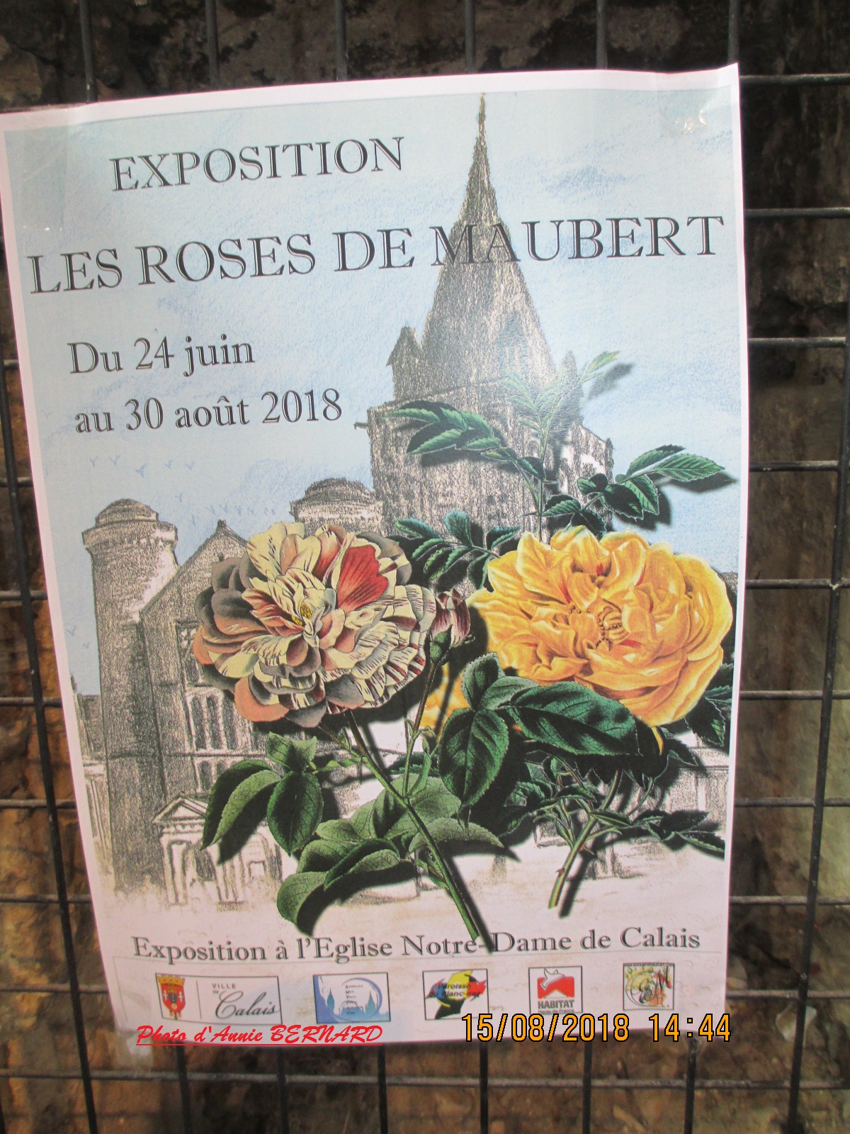 Exposition: Les roses de Maubert