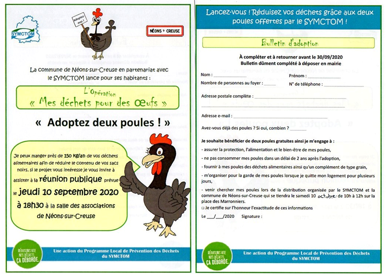 Adopte 2 poules a Néons sur Creuse!