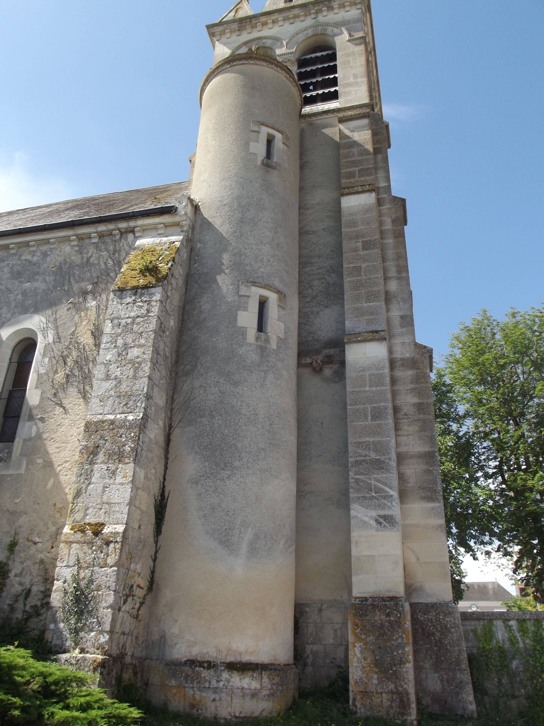Un nid de frelons à côté de la tour