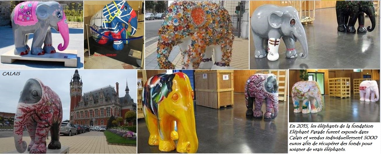 En 2015, des éléphants colorés dans Calais